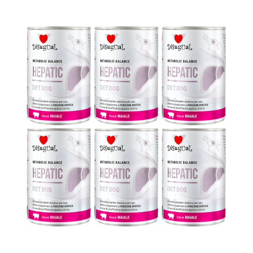 Disugual HEPATIC Wieprzowina 6x400g Karma mokra dla psa Weterynaryjna