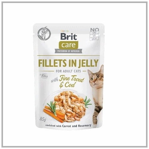 a6f54f0cbb11b7bb5aefbabbda1a891a