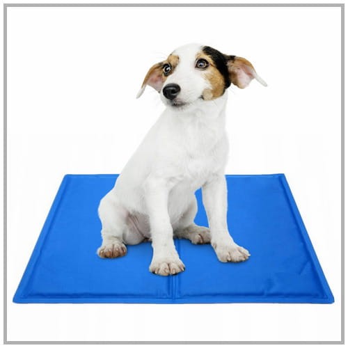 84911c715fffdf8349fa9304f775a458