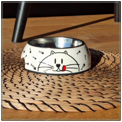 Miska dla kota Eloo Kot 150ml