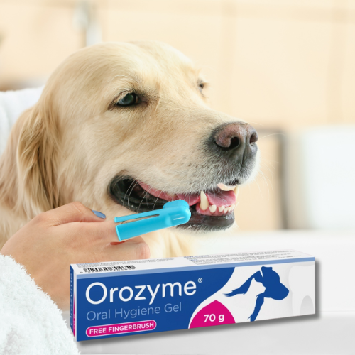 Orozyme pasta do zębów w żelu, dla psów i kotów zoomisia.png