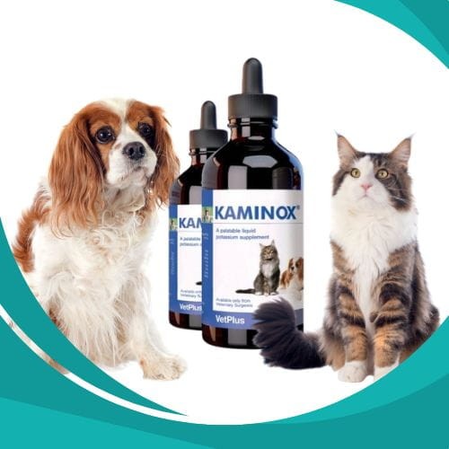 VetPlus Kaminox 60 ml niewydolność nerek dla psów dla kotów zoomisia.jpg