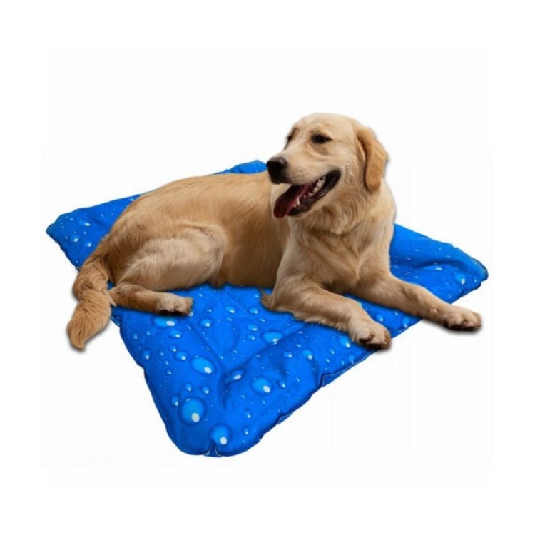 mata chłodząca dla psa i kota zoomisia.jpg