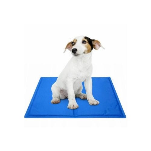 mata chłodząca zoomisia dla psa i kota delfin.jpg