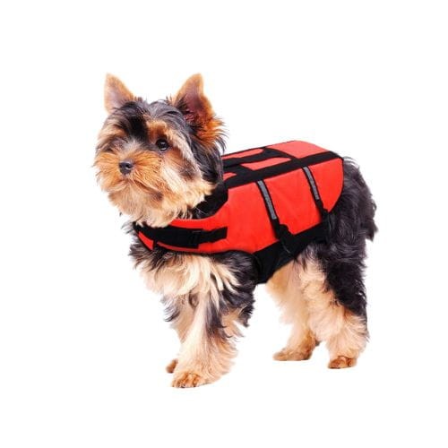 Kamizelka Ratunkowa Kapok dla Psa L 35 cm Pomarańczowa zoomisia.jpg