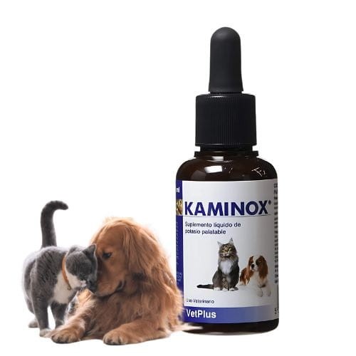 Kaminox suplement dla psa i kota vetplus.jpg