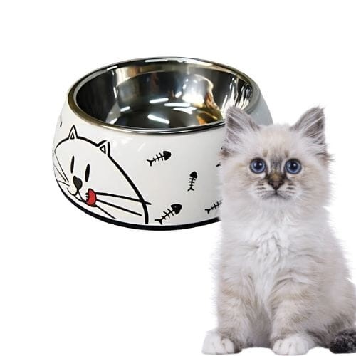 miska dla kota 150ml.jpg