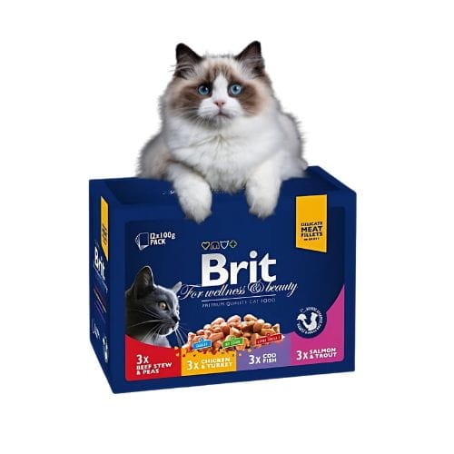Brit Premium Family Plate 12x100g Mokra karma dla kota mix smaków.jpg