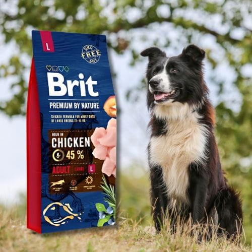 Brit Premium By Nature Adult Large Breed 15kg .jpg