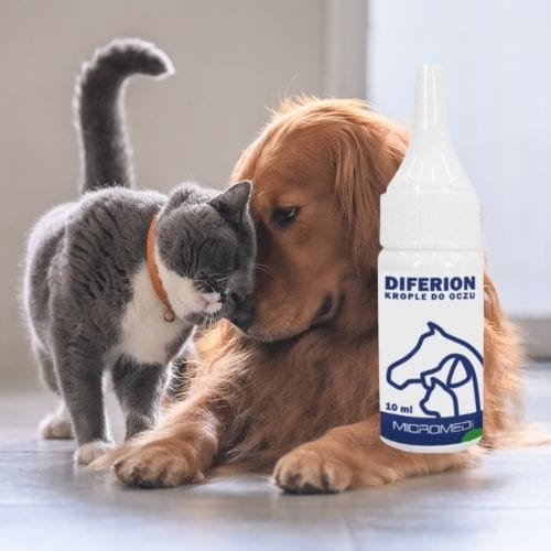 Micromed Vet Diferion 10 ml Krople do oczu dla psa i kota na podrażnienia.jpg