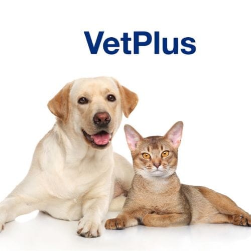 vetplus zoomisia.jpg