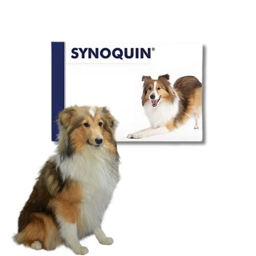 Vetplus Synoquin 30 tabl  wsparcie stawów dla psa średniej rasy -  krótka data