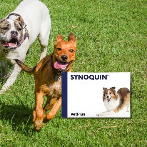 Vetplus Synoquin 30 tabl  wsparcie stawów dla psa średniej rasy -  krótka data