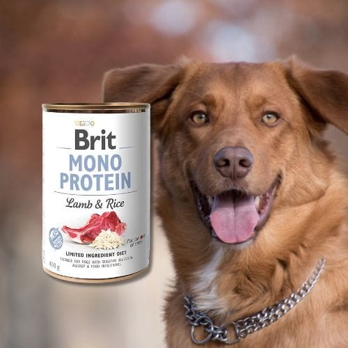 Brit Mono Protein Lamb &amp; Rice 400g Mokra karma monobiałkowa dla psa a.jpg