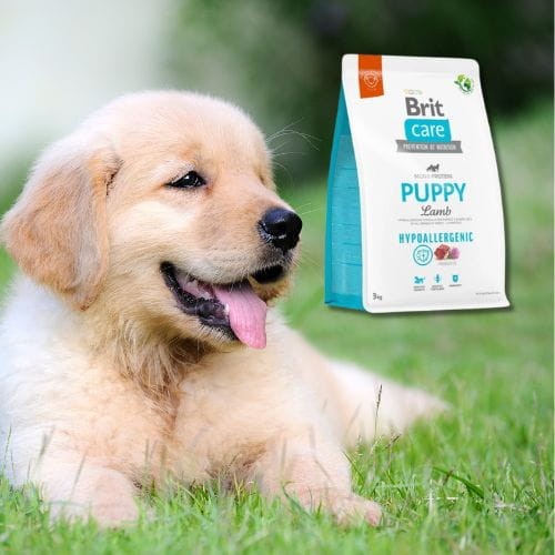 Brit Care Hypoallergenic Puppy Lamb 3kg Sucha karma dla psa z jagnięciną szczeniak.jpg
