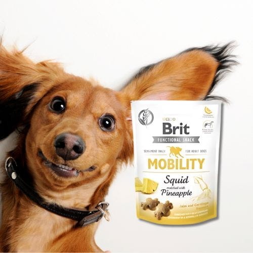 Brit Care Dog Functional Snack Mobility Squid 150g Przysmak dla psa na stawy .jpg
