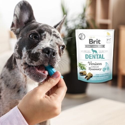 Brit Care Dog Functional Snack Dental Venison 150g Przysmak dla psa na zęby A.jpg