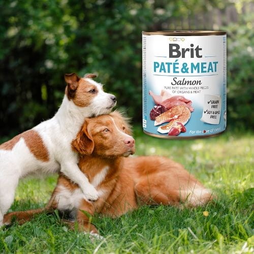 Brit Pate &amp; Meat Łosoś 800g mokra karma dla psa z łososiem all.jpg