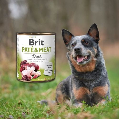 Brit Pate &amp; Meat Kaczka 800g Mokra karma dla psa z kaczką all.jpg