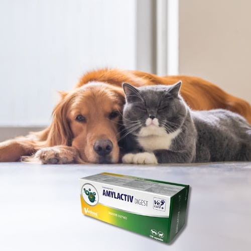 Vetfood Amylactiv Digest 120 kaps – suplement na trawienie dla psa i kota.jpg