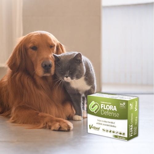Vetfood Flora Defense 30 kapsułek suplement probiotyk dla psa i kota .jpg