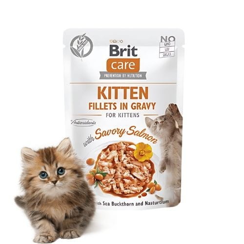 Brit Care Kitten FG Savory Salmon 85g Mokra karma dla kociąt z łososiem z.jpg