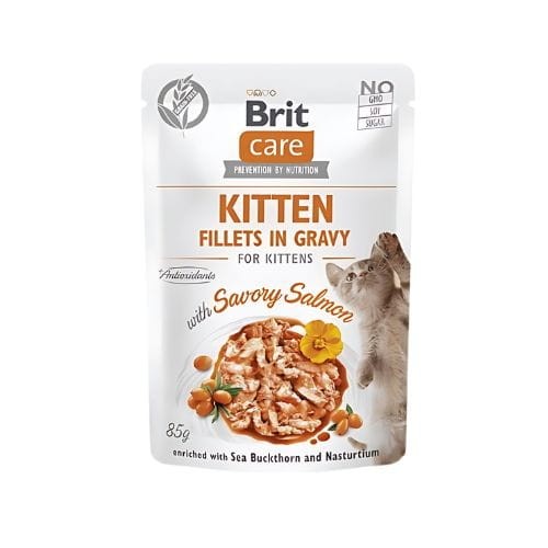 Brit Care Kitten FG Savory Salmon 85g Mokra karma dla kociąt z łososiem zoomisia.jpg