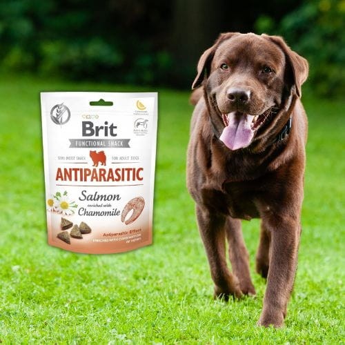 Brit Care Functional Snack Antiparasitic 150g Przysmak dla psa z ziołami