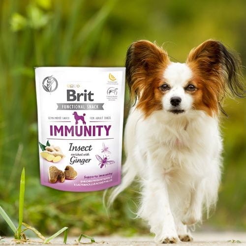 Brit Care Functional Snack Immunity 150g Przysmak dla psa z owadami