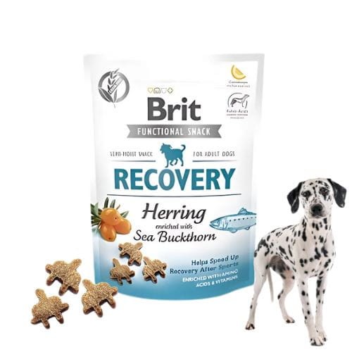Brit Care Functional Snack Recovery 150g Przysmak dla psa z rokitnikiem