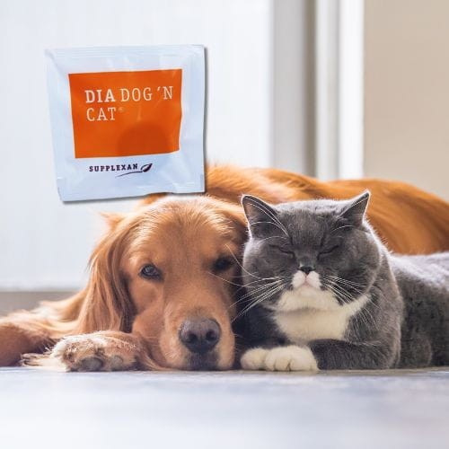 DiaDog 'N Cat Dia Dog 1 tab – Tabletka na biegunkę dla kota i psa a.jpg
