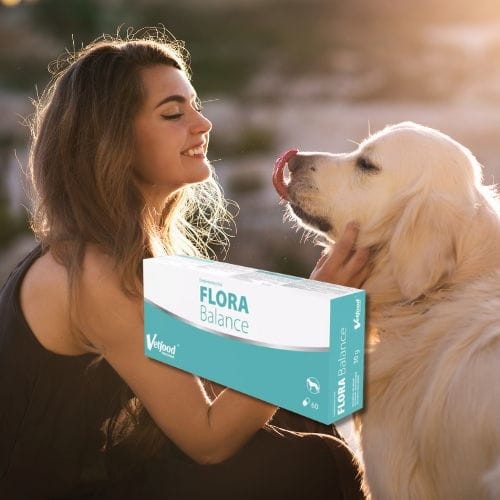 Flora Balance 60 kapsułek probiotyk dla psa wspierający florę jelitową zoomoisia.jpg