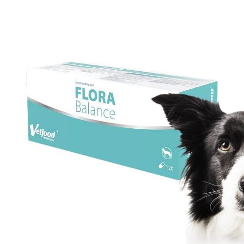 Flora Balance 120 kapsułek probiotyk dla psa wspierający florę jelitową.jpg