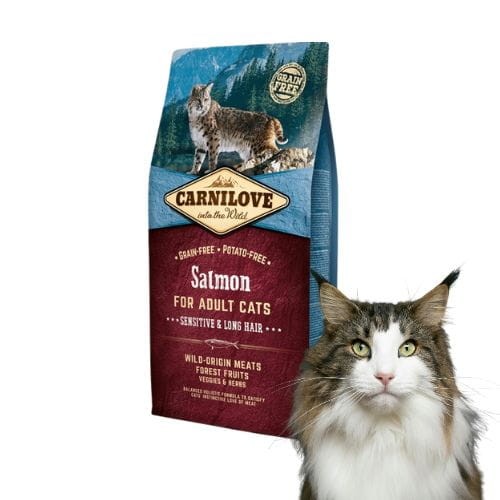 Carnilove Cat Salmon Sensitive & Long Hair 6kg Sucha karma dla kota