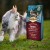 Carnilove Cat Salmon Sensitive & Long Hair 6kg Sucha karma dla kota