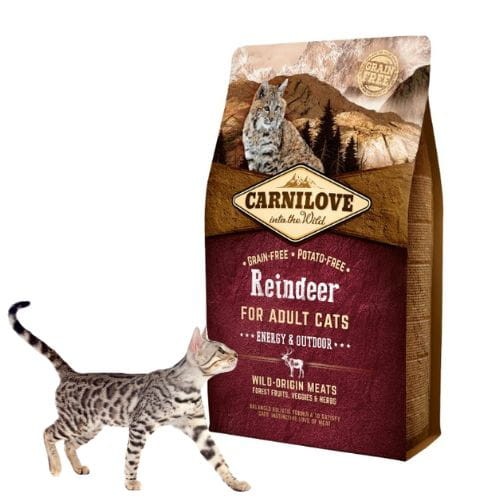 Carnilove Cat Energy & Outdoor Renifer 6kg  Sucha karma dla kota aktywnego