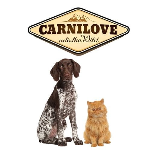Carnilove Cat Energy & Outdoor Renifer 6kg  Sucha karma dla kota aktywnego