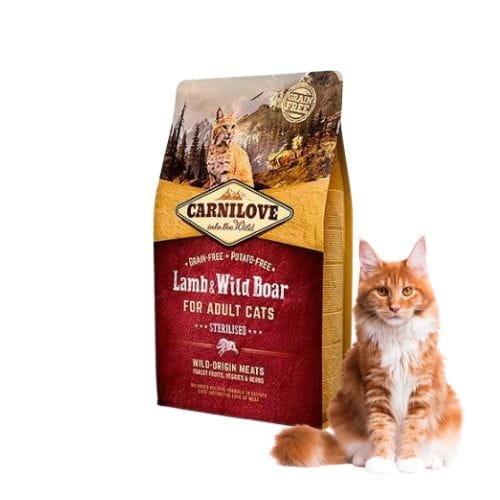 Carnilove Cat Lamb & Wild Boar Sterilised 6kg sucha karma dla kota z jagnięciną