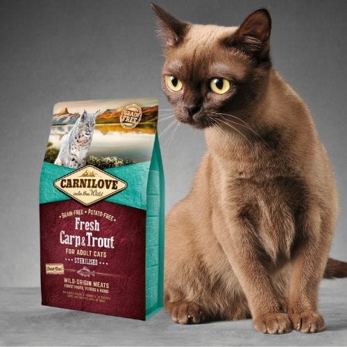 Carnilove Cat Fresh Carp & Trout Sterilised 6kg Sucha karma dla kota karp i pstrąg