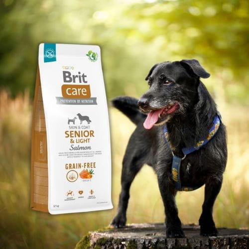 BRIT Care Dog Grain-Free Senior &amp; Light Salmon sucha karma dla starszego psa a.jpg