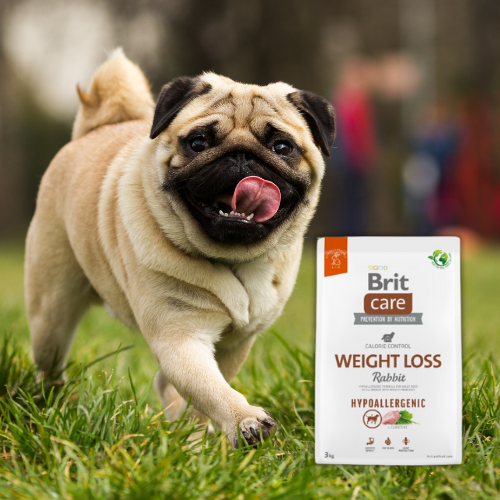 Brit Care Weight Loss Rabbit 3kg hipoalergiczna karma dla psa .png