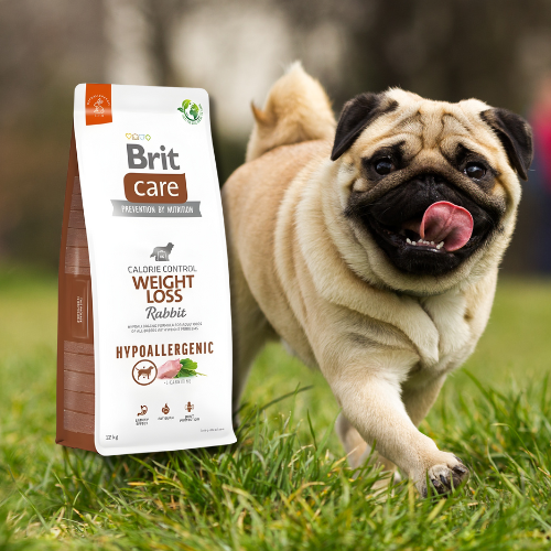 Brit Care Dog Hypoallergenic Weight Loss Rabbit 12 kg a.png