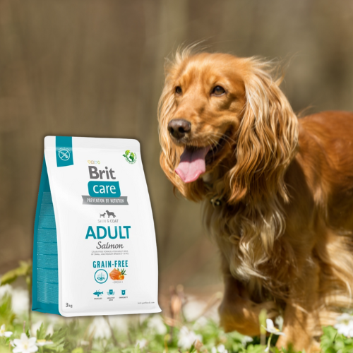 Brit Care Dog Grain Free Adult Salmon 3 kg sucha karma dla psa z łososiem.png
