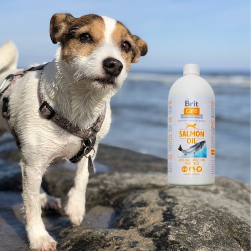 Brit Care Salmon Oil 1000 ml – olej z łososia dla psa a.png