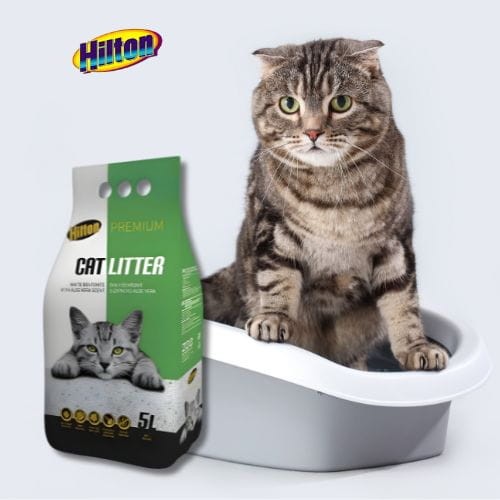Hilton Żwirek Biały Bentonitowy 5 l dla kota zapach Aloe Vera zoomisia.jpg