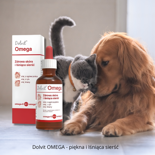 Dolfos Dolvit Omega 50 ml Suplement dla psa i kota z kwasami omega a.png