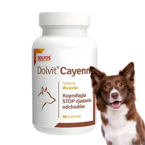 Dolvit Cayenne 90 tabl. – tabletki zniechęcające psa do zjadania odchodów.png