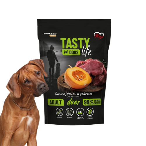 Tasty Dogs Life Jeleń 500 g mokra karma dla psa w galaretce BioFeed