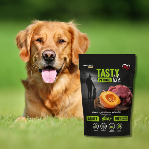 Tasty Dogs Life Jeleń 500 g mokra karma dla psa w galaretce BioFeed