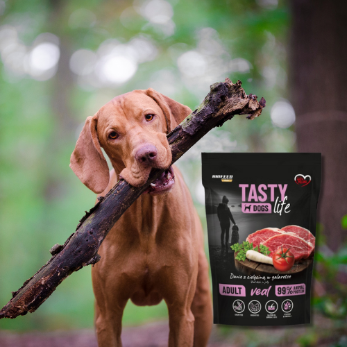 Tasty Dogs Life Cielęcina  500 g mokra karma dla psa w galaretce Biofeed